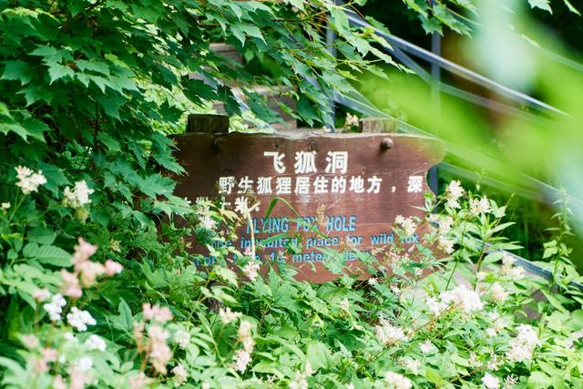 长白山聚龙火山石林，穿越火山峡谷，探秘地球亿万年的尘封记忆