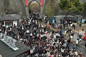 鸡鸣寺、玄武湖客流增加，南京交警发布提醒图片