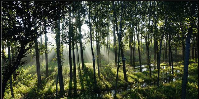 一个人骑车的早晨，才是成年人最顶级的放松方式，比躺平爽10倍！