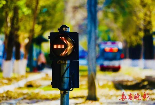 一趟开往秋天的电车！它，载满一城金色浪漫