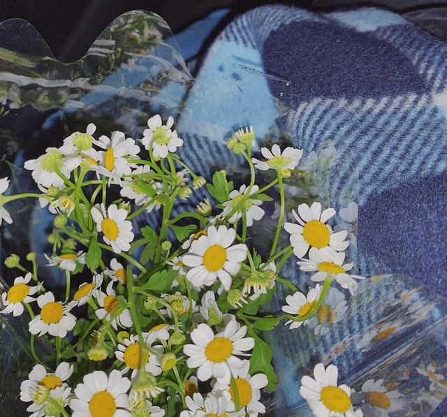 文案 | 落落大方地走，长夜的尽头，总会升起属于自己的朝阳