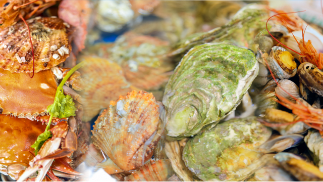 明天！就在白鹭湾！