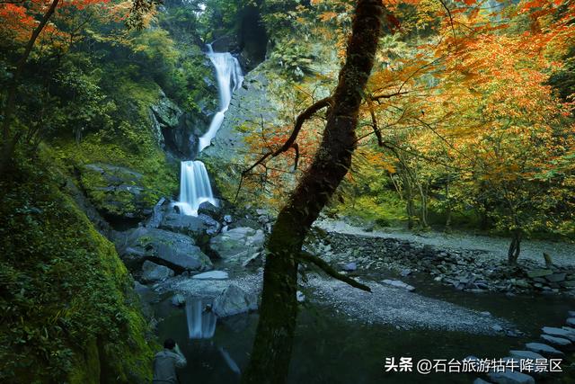 致静待重逢的你