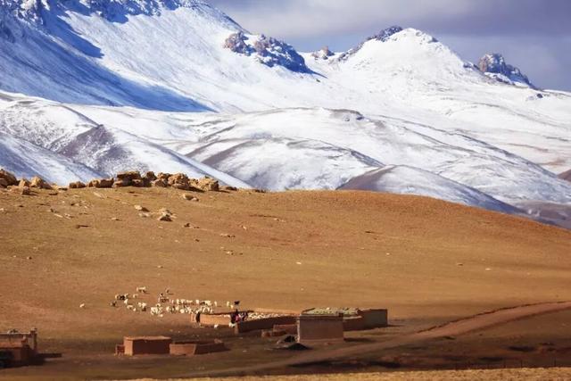 西藏绝美四季：从林芝桃花到阿里湖泊，每一眼都震撼心灵