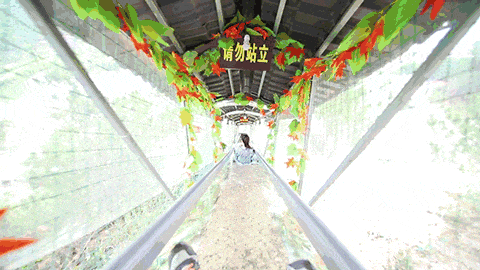 许愿接福、趣味打卡！这份超全攻略助您元旦假期畅游东莞观音山~