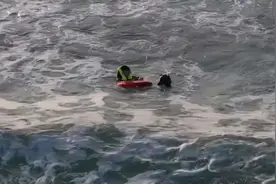 事发万宁！3名游客落水遇险，水上救援机器人成功施救图片