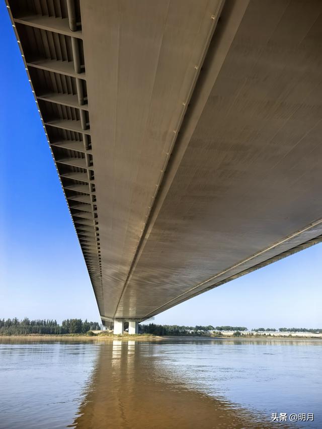 分享你最快捷去黄河千亩银杏林的路线