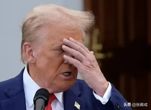 白宫设下鸿门宴！丹麦绝不屈服，欧洲开始出兵	，特朗普夺岛梦碎？