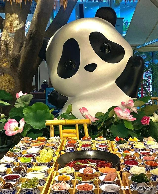 我是一个西北人,前几天去了趟成都,说说我对成都的几个印象