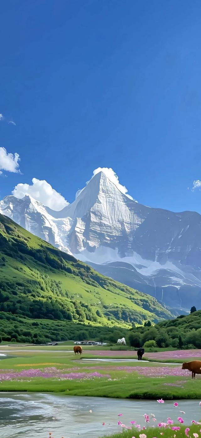 手机壁纸|美如画的自然风景