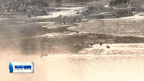 雾锁清河景如画 新年气象入画来