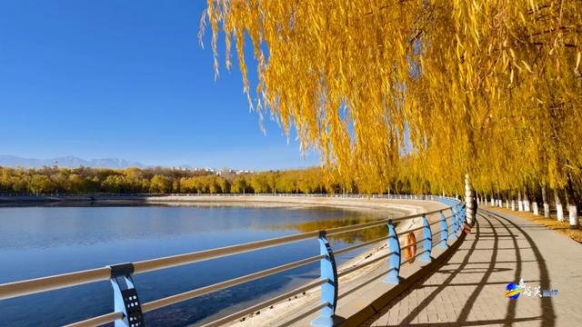 才几天没去,这个公园最近居然变成这样了?!