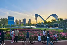 图话丨太原的浪漫花海图片
