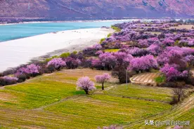 3、4月出发正好！这条超绝赏春环线，即将引爆自驾圈！图片