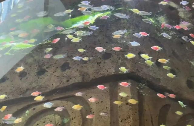 惊呆了！无锡这个服务区