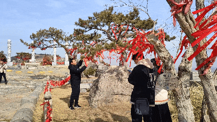 临沂花式闹元宵全攻略：灯会、赏花、优惠、演艺一键收藏！