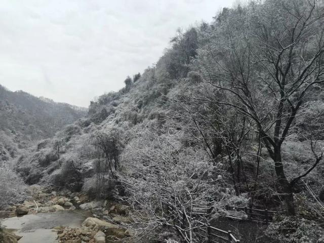 告别秋景，奔赴鸡峰山的第一场雪｜冬日旅行启动