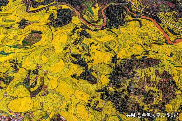 春日爆款!花季限定·2月8日/3月8日出发【花开滇境·七彩云南】8日