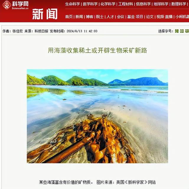 美国稀土技术革命性突破，可用效率达顶尖水平，中国地位遭威胁？