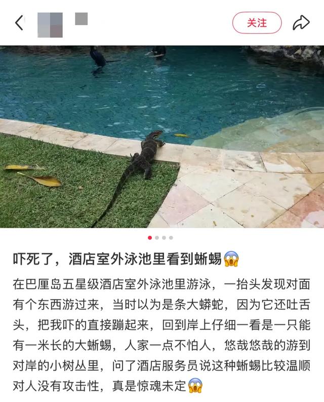 阻止我去巴厘岛旅游的唯一理由：