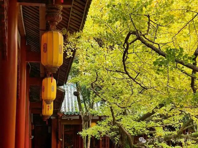 开始刷屏！🤩🤩 崇州罨画池迎来颜值巅峰