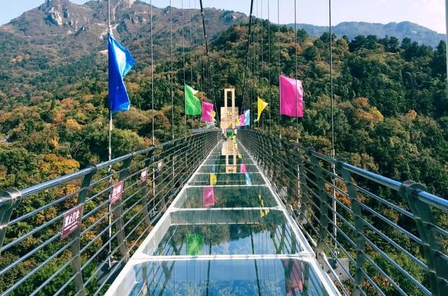 黄陂赏秋，这样玩才够味！