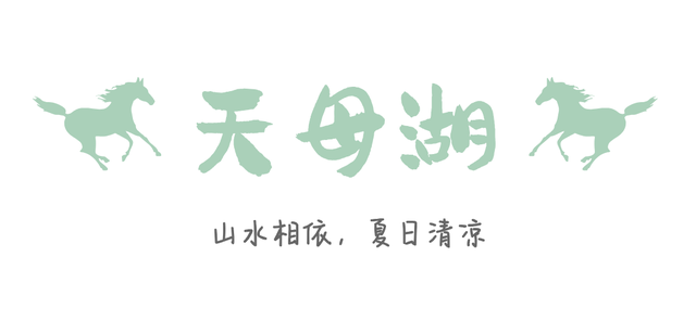 40℃你别来添乱，我要去白马王朗过15℃的夏天
