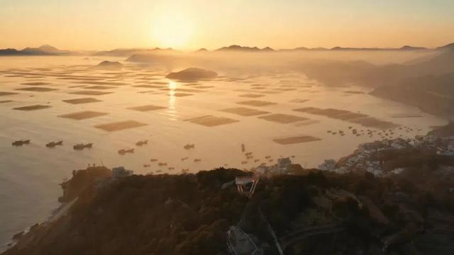 看完就坐不住了！出片率100%的最美滩涂