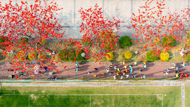 蝶变“十四五”·佛山文旅观察之一 | 文旅繁花重塑“佛山印象”