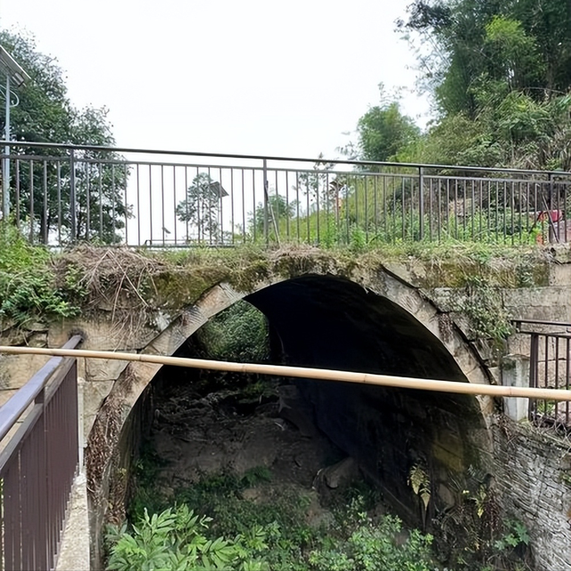 悲剧！一家4口“深夜露营”遭遇洪水，29岁妈妈和10岁儿子被冲走