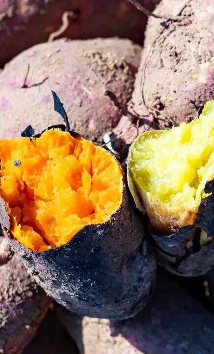 打卡限时浪漫，一键收藏隐珠街道最美秋色！