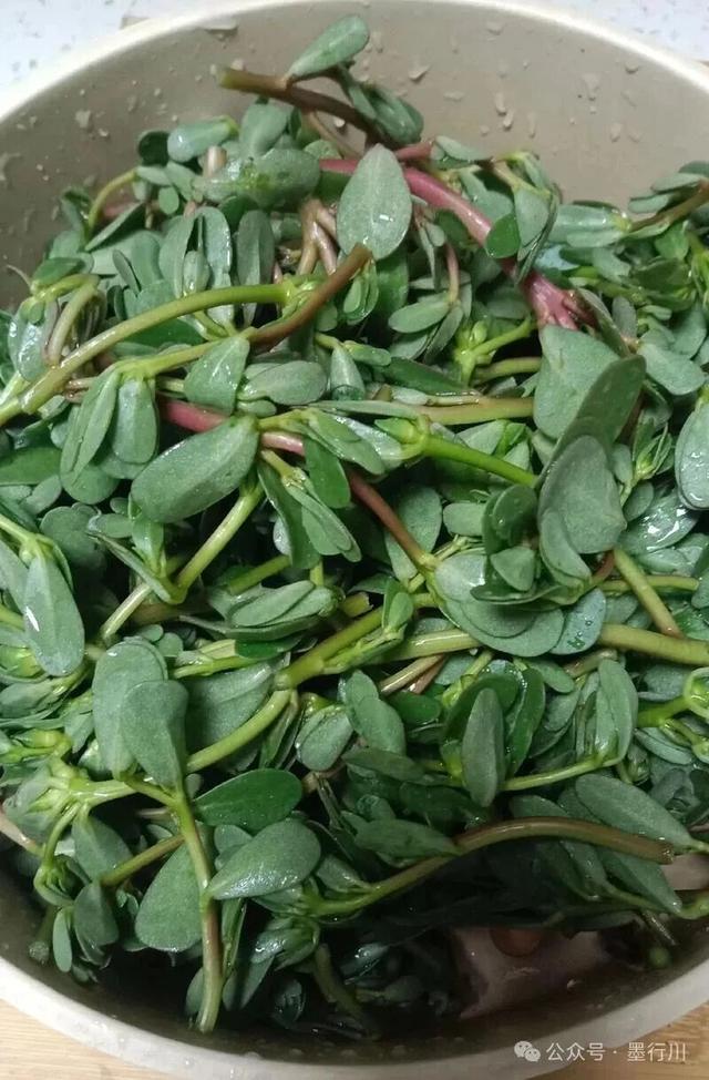 老家鲁西南（72）：马蜂菜坨和韭菜坨
