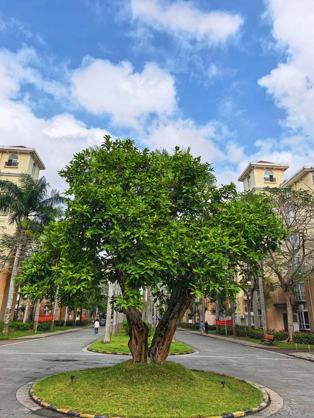 又回海南天来泉