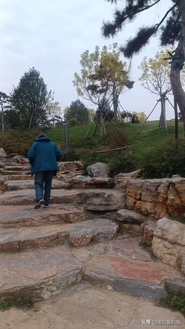 申伯公园很公园