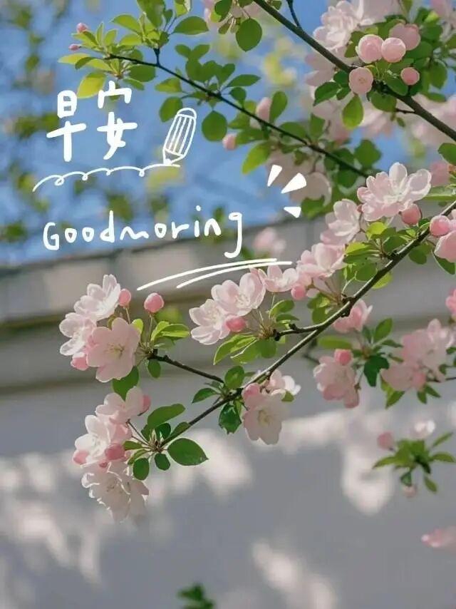 早安正能量励志句子，新的一天，愿我们好运满满，平安顺遂。早安