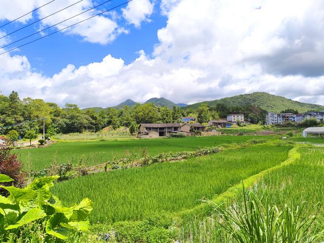 夏日炎炎，何处寻觅一丝清凉？福州 · 闽侯大湖乡(2025·7·28～8·1)