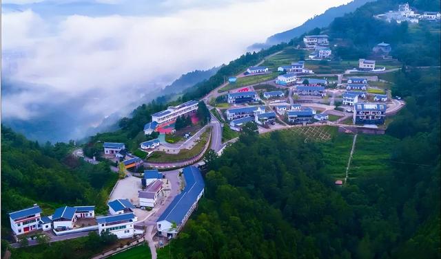 一位仙居人的旺苍情书：从仙居到旺苍，爱你是跨越千里的奔赴！