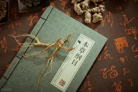 荔枝一生都是宝，不要错过了图片