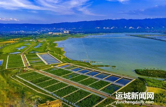 遛娃骑行太惬意！鸭子池真是个“绿色宝藏”