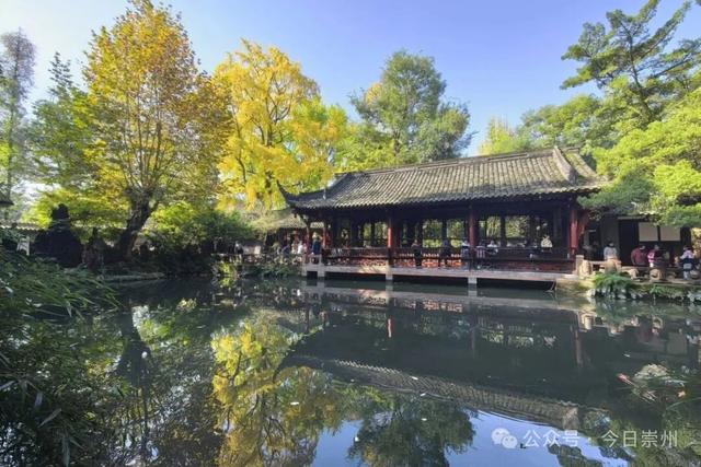 速来→崇州正上演初冬金色浪漫大片！