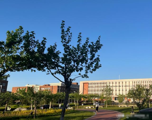 她连续5次上春晚，私下却和恩师同居怀孕被骗流产，现在57岁单身