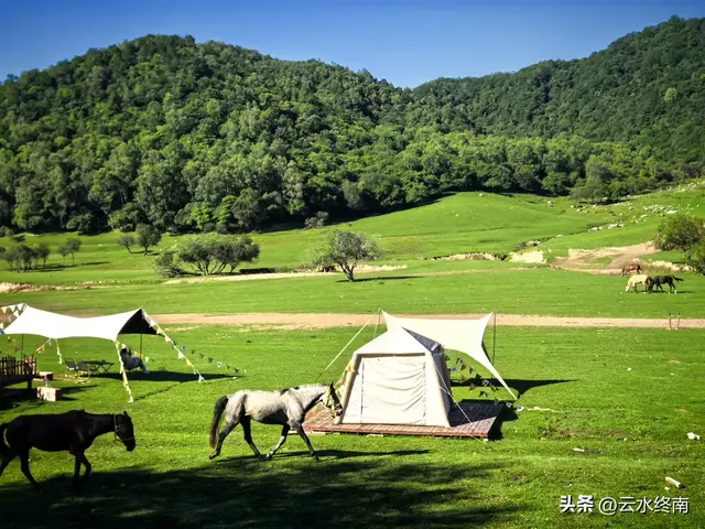 关山牧场会“瑟瑟发抖”？我看多虑了，即使旁边有大片免费的草原