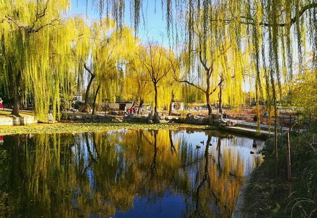 狂风散尽现碧空 北京市民陶然亭公园共赴“大风蓝”之约