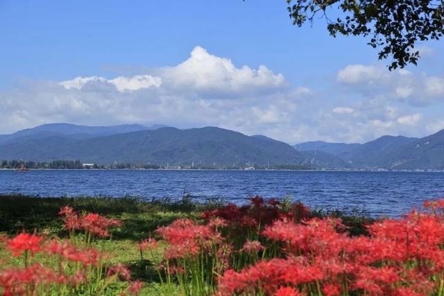 9月去看绝美彼岸花吧！日本10大赏花出片景点全攻略~
