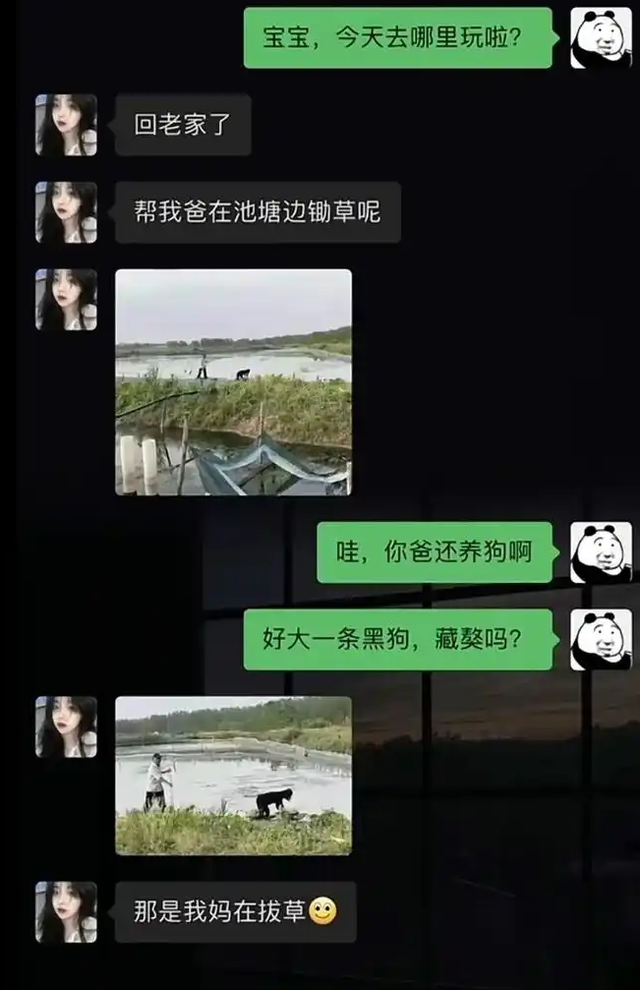 盘点男女那些事，爆笑聊天记录，每一个对话都好好笑