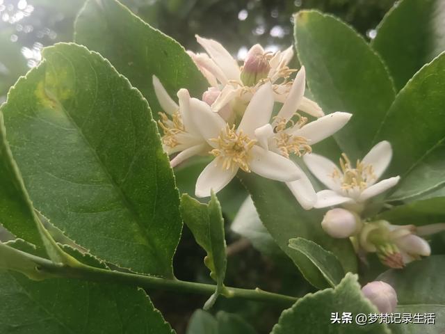 我最近热衷废墟游因为多少总会有收获,加油!我的胜利已近在眼前