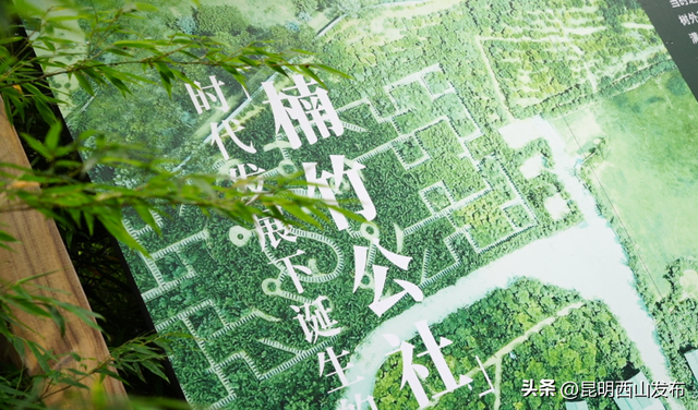 白鱼村，西山区绝佳的隐身栖居之所