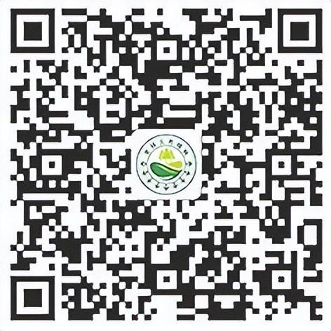 献爱心护古树 免门票逛灯会 “青岛之夏”艺术灯会邀请市民共赴浪漫璀璨的公益之约