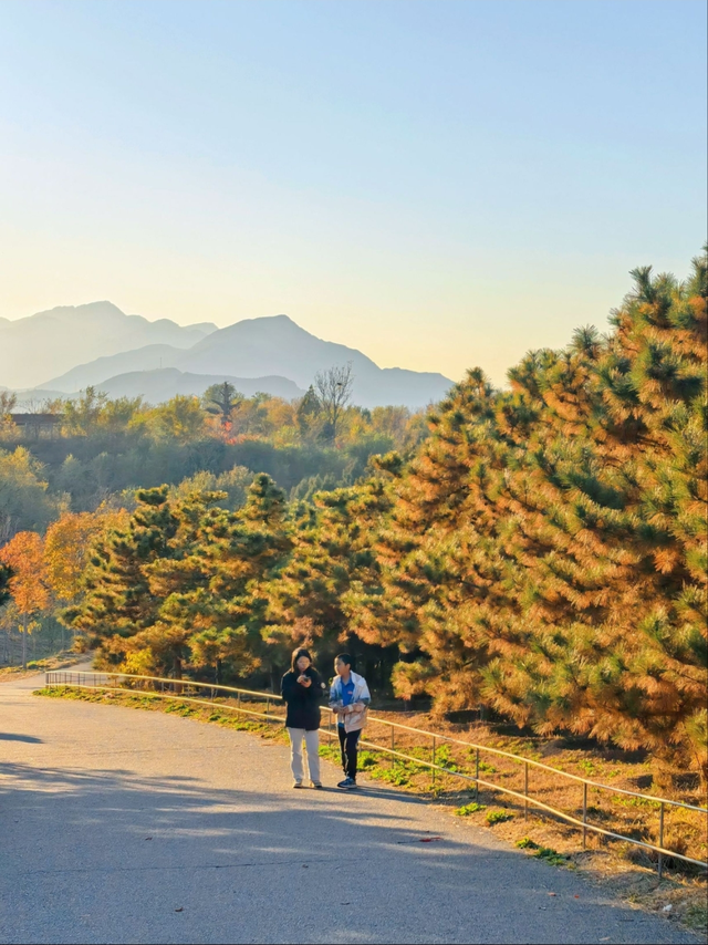 美翻了！丰台这些“秋季限定”进入倒计时→