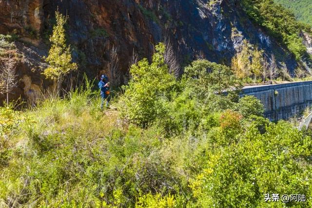 看丽宁十八弯未必要去观景台，我遇见个野生小土坡，视角也挺不错